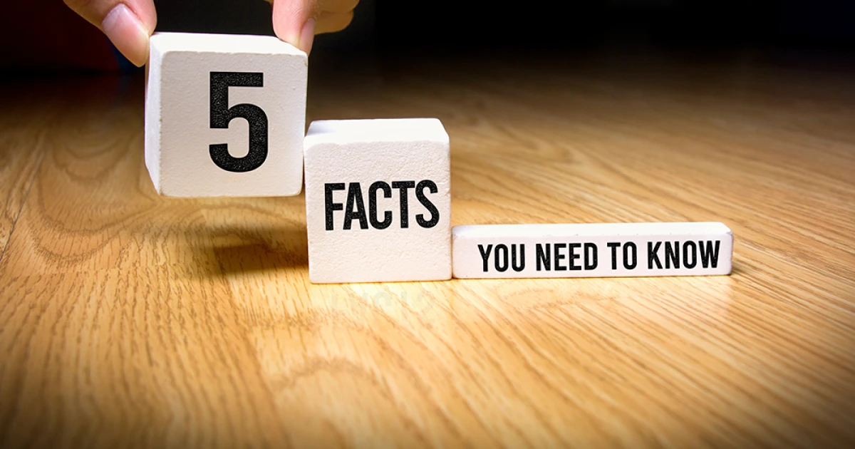 5 Things Every Business Should Know Before Sending Bulk SMS